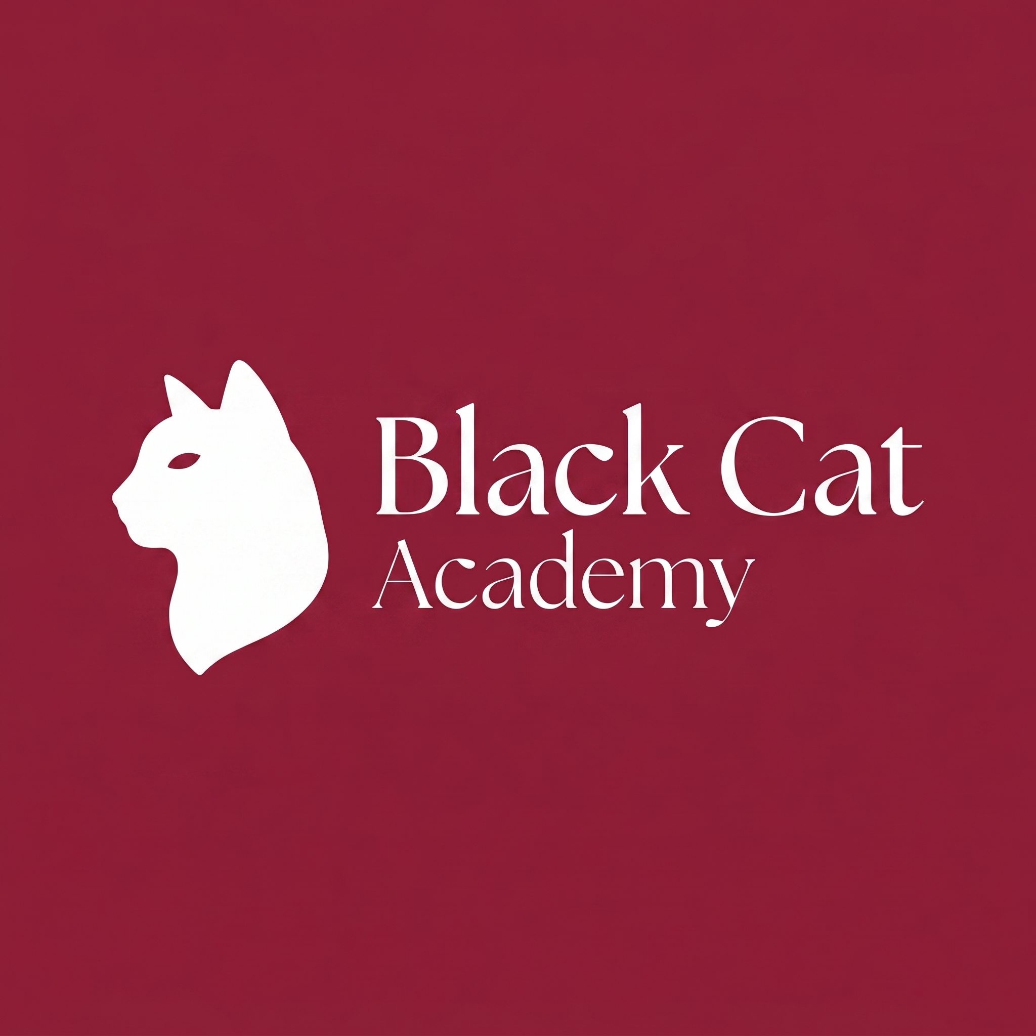 Black Cat Academy